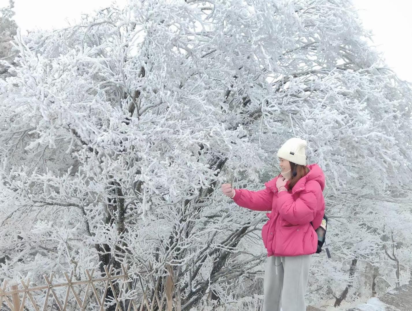 Yunshan Villa 황 산 외부 사진